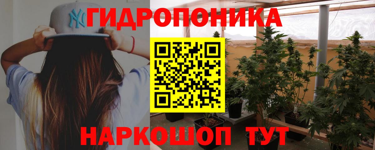 Конопля семена  Вход с VPN  Чита  Бошки марихуана планчик 